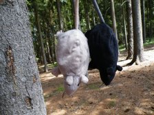 Prašivka s kámošem #2